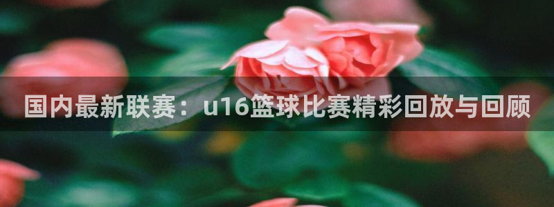 国内最新联赛：u16篮球比赛精彩回放与回顾