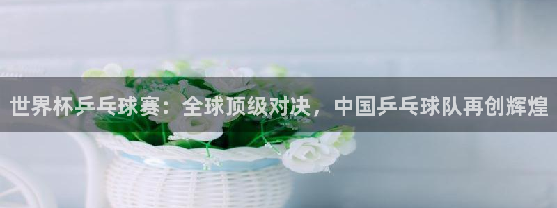  世界杯乒乓球赛：全球顶级对决，中国乒乓球队再创辉煌