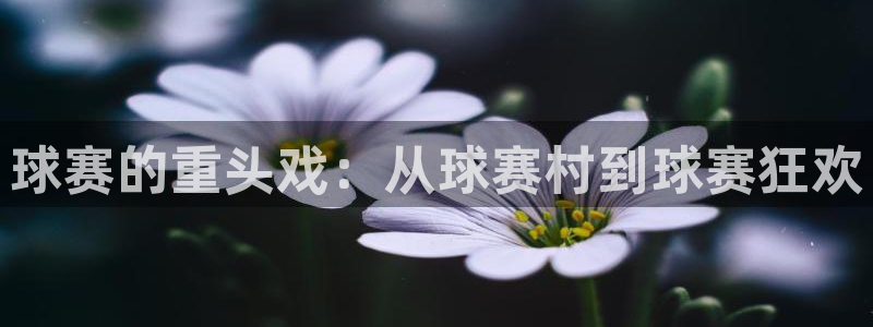 emc易倍官网登录网址：球赛的重头戏：从球赛村到球赛狂欢