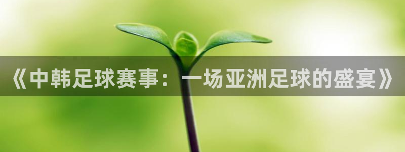  emc全站下载：《中韩足球赛事：一场亚洲足球的盛宴》