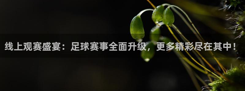  易倍emc网址：线上观赛盛宴：足球赛事全面升级，更多精彩尽在