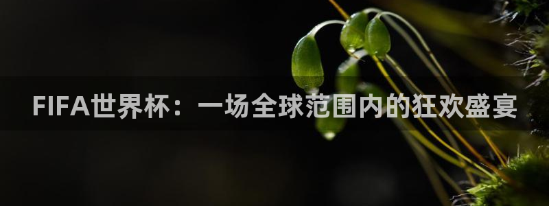 emcapp下载普通下载：FIFA世界杯：一场全球范围内的狂