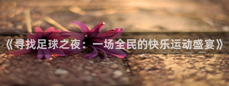 emc易倍官网app下载：《寻找足球之夜：一场全民的快乐运动