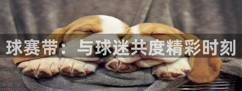  emc易倍下载客服：球赛带：与球迷共度精彩时刻