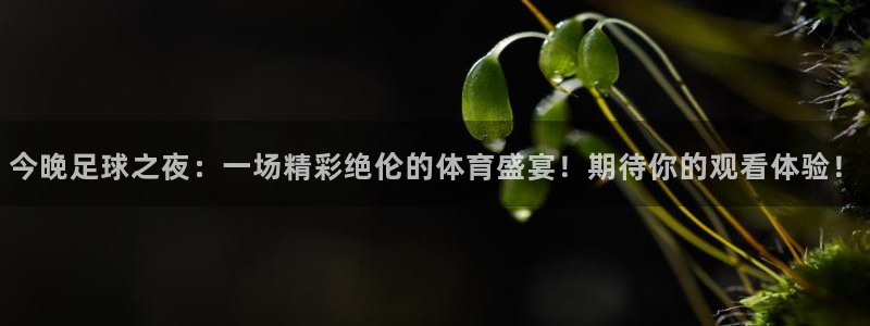  emc易倍·体育app下载：今晚足球之夜：一场精彩绝伦的体育
